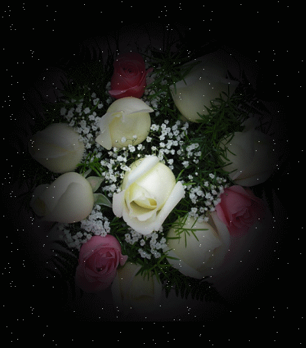 k25.gif
