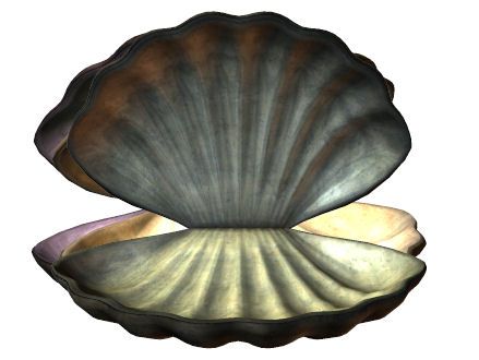 k39.jpg