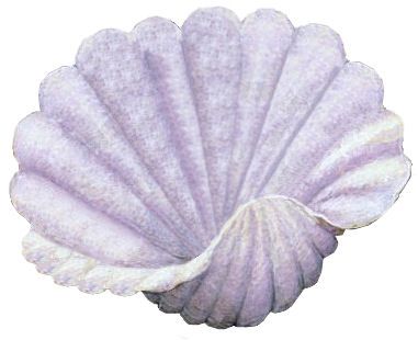 k40.jpg