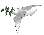 k52.gif