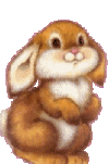 k9.gif