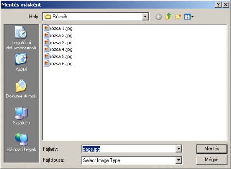 r17.jpg