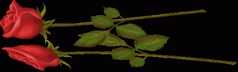 v44.gif