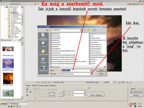 zoz_3.png