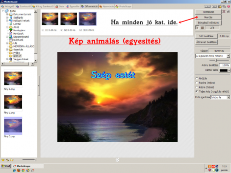 zoz_4.png