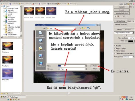 zoz_5.png