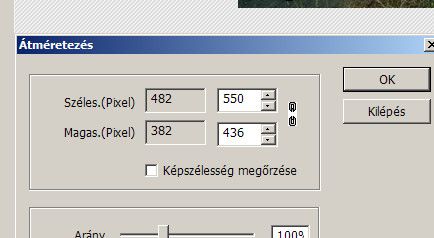 zzp_10.jpg